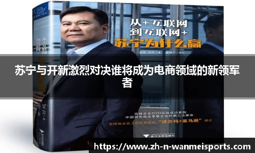 苏宁与开新激烈对决谁将成为电商领域的新领军者